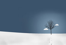 八年的坚韧征程:八位币安元老如何度过 2017 年至 2025 年的每个加密货币周期并蓬勃发展